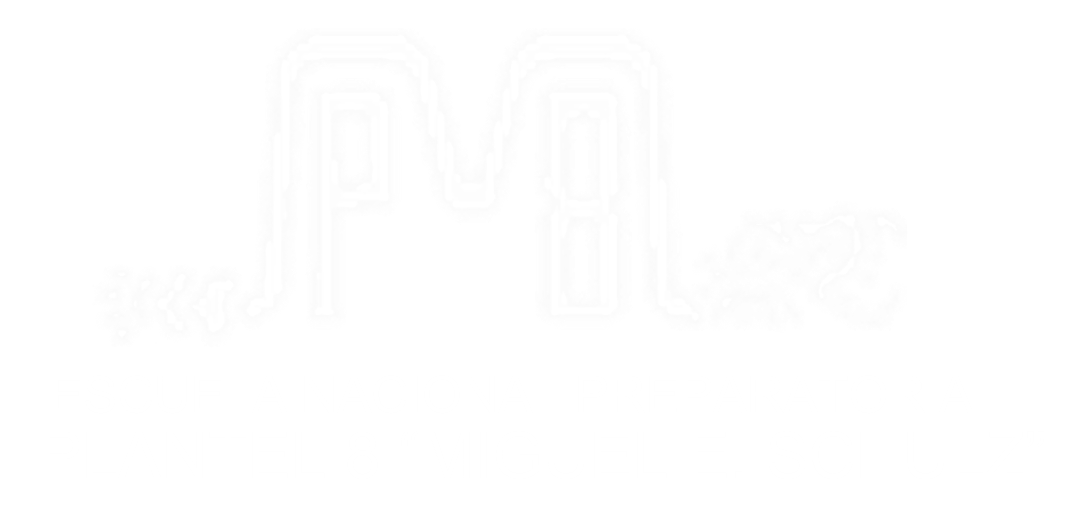 logo ENP8
